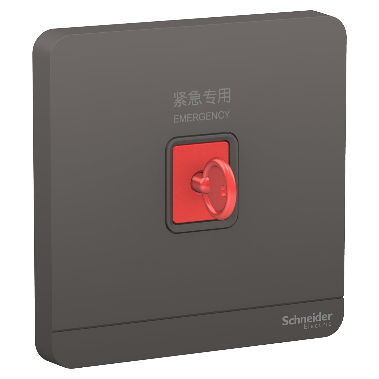 Schneider 施耐德 E8331KPB_DG_C5 緊急按鈕連鎖匙復位鍵 (石墨灰)